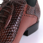 Bradley Shoe // Brown (Euro: 45)