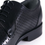 Quincy Shoe // Black (Euro: 43)