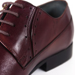 Harrison Shoe // Burgundy (Euro: 43)