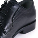 Lincoln Shoe // Black (Euro: 46)