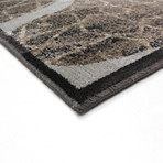 Frost Rug // Beige + Gray (3'11" x 5'3")