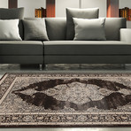 Shahrzad Kerman // Cream + Dark Brown Rug (3'11" x 5'3")