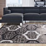 Frost Rug // Beige + Gray (3'11" x 5'3")