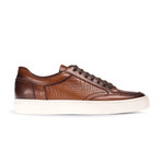 William Sneaker Shoes // Tobacco (Euro: 39)