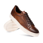 William Sneaker Shoes // Tobacco (Euro: 39)