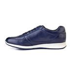 Pietro Shoes // Navy (Euro: 43)