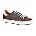 Daniele Shoes // Brown (Euro: 45)