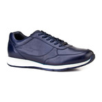 Pietro Shoes // Navy (Euro: 44)