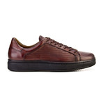 Samuel Shoes // Brown (Euro: 43)