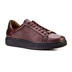 Samuel Shoes // Brown (Euro: 41)