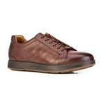 Filippo Shoes // Tobacco (Euro: 44)