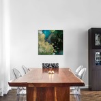 Emerald Topo II // Victoria Borges (12"W x 12"H x 0.75"D)