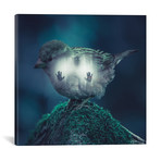 Trapped // Paul Haag (12"W x 12"H x 0.75"D)