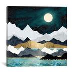 Ocean Stars // SpaceFrog Designs (12"W x 12"H x 0.75"D)