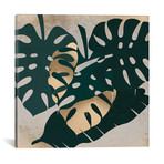 Leaf Art XVI // Danilo de Alexandria (12"W x 12"H x 0.75"D)
