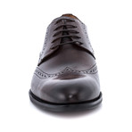 Colin Shoes // Brown (US: 7.5)