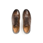 Dali Sneaker // Brown (UK: 7)