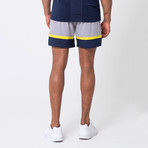 Focus Shorts // Sleet (XL)