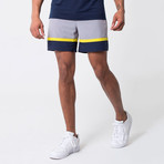 Focus Shorts // Sleet (M)