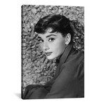 Audrey Hepburn, 1954 // Rue Des Archives (12"W x 18"H x 0.75"D)