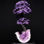 Prosperity Tree // Amethyst