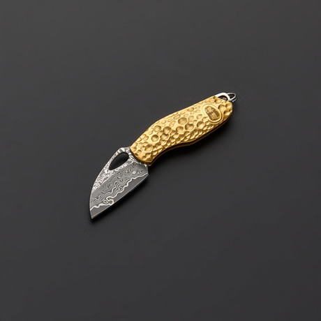 The Ptesrosaur Damascus Knife Brass Handle