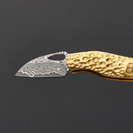 The Ptesrosaur Damascus Knife Brass Handle