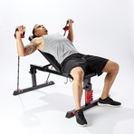 PWB: Pro-Workout Bench