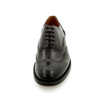 Wing-Tip Dress Shoes // Brown (Euro: 40)