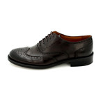 Wing-Tip Dress Shoes // Brown (Euro: 40)