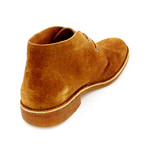 Suede Shoes // Brown (Euro: 44)