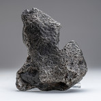 Genuine Campo Del Cielo Meteorite