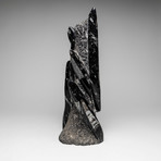 Genuine Orthoceras Fossil Sculpture