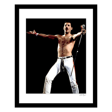 Freddie Mercury Photo Wall Decor (12"W x 16"H x 2"D)