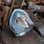 Gladiator Ring V1 // Silver + Gold (12)