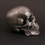 Full Size // Human Skull in Stainless Steel