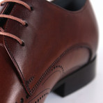 Samuel Dress Shoe // Brown (Euro: 42)