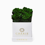 Green Roses // White Matte Mini Box