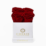 Red Roses // White Matte Mini Box