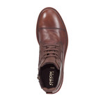 Uvet Dress Shoe // Brown Cotto (Euro: 39)