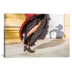 Flamenco Dancer In Seville, Andalusia, Spain // Matteo Colombo (18"W x 12"H x 0.75"D)