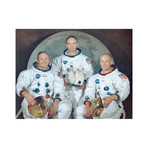 Apollo 11 Moon Landing Crew (16"W x 12"H)