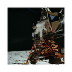 Buzz Aldrin // Walk on the Moon Preparations (16"W x 16"H)