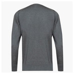 Anthony Woolen V-Neck Sweater // Gray (4XL)
