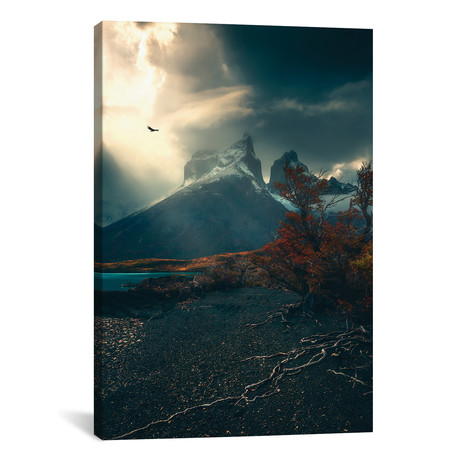 Torres Del Paine - Chile // Cuma Cevik (12"W x 18"H x 0.75"D)