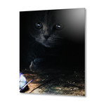 Cat Looking At A Blue Butterfly // Aluminum Print (16"W x 24"H x 1.5"D)
