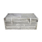 Harper Collection // Steel & Cowhide Trunk (Small)