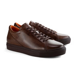 Broome Shoe // Brown (Euro: 44)
