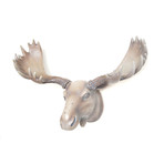 Moose Head Wall Art