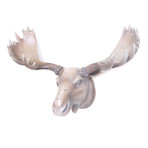 Moose Head Wall Art